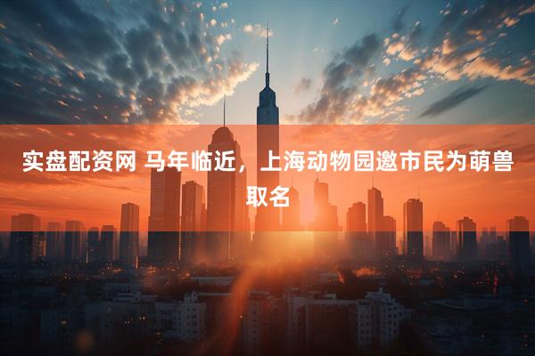 实盘配资网 马年临近,上海动物园邀市民为萌兽取名