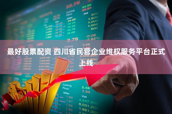 最好股票配资 四川省民营企业维权服务平台正式上线